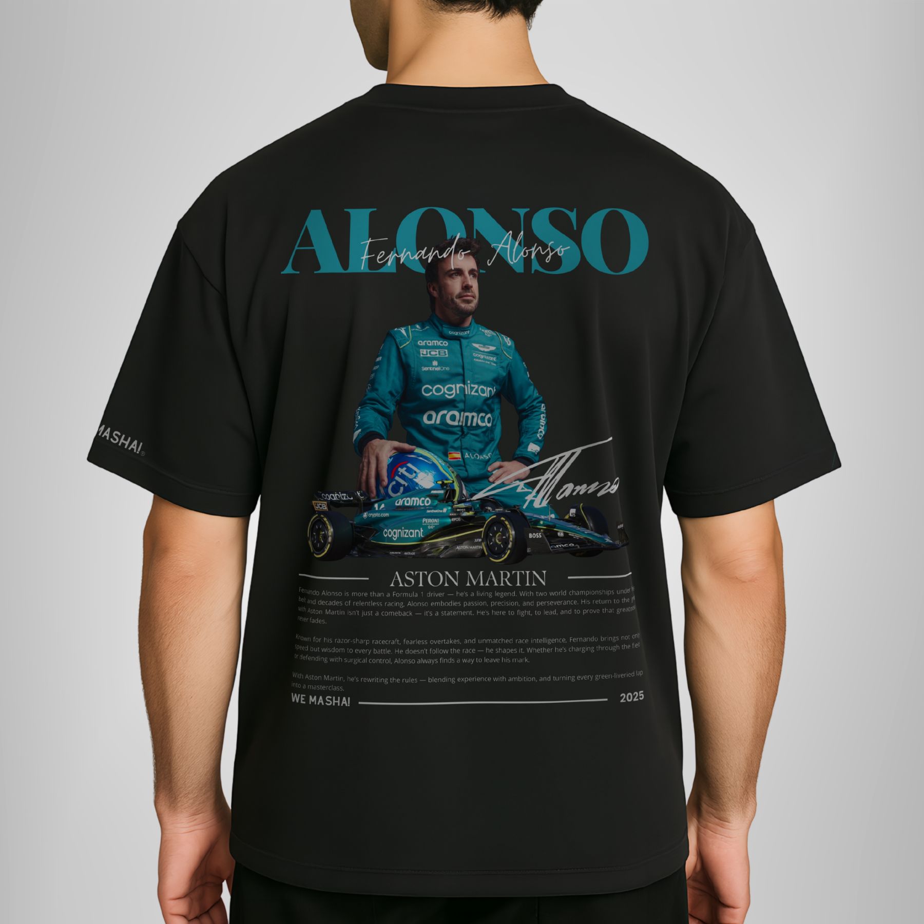 Fernando Alonso F1 2025